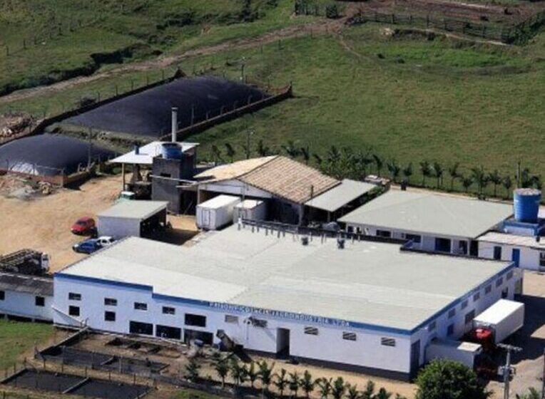  Linguiça produzida na região é recolhida após detecção de salmonela