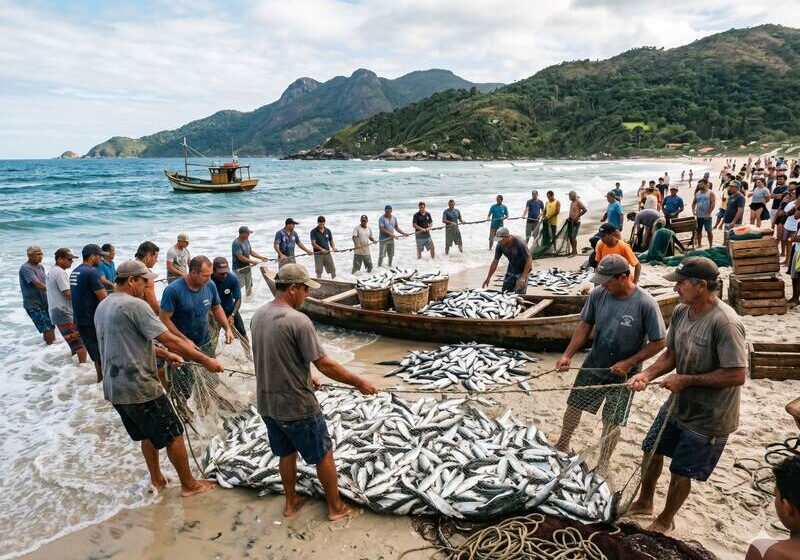  Safra da tainha em Santa Catarina ultrapassa 200 toneladas capturadas